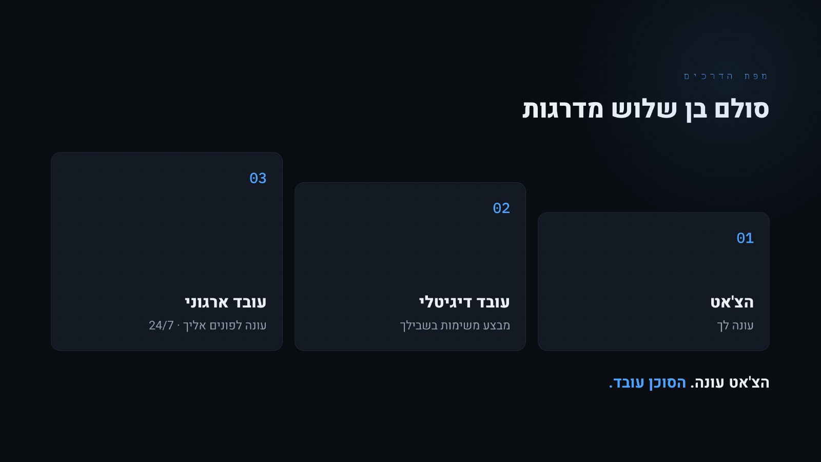 שלוש המדרגות — כל ההרצאה בשקף אחד